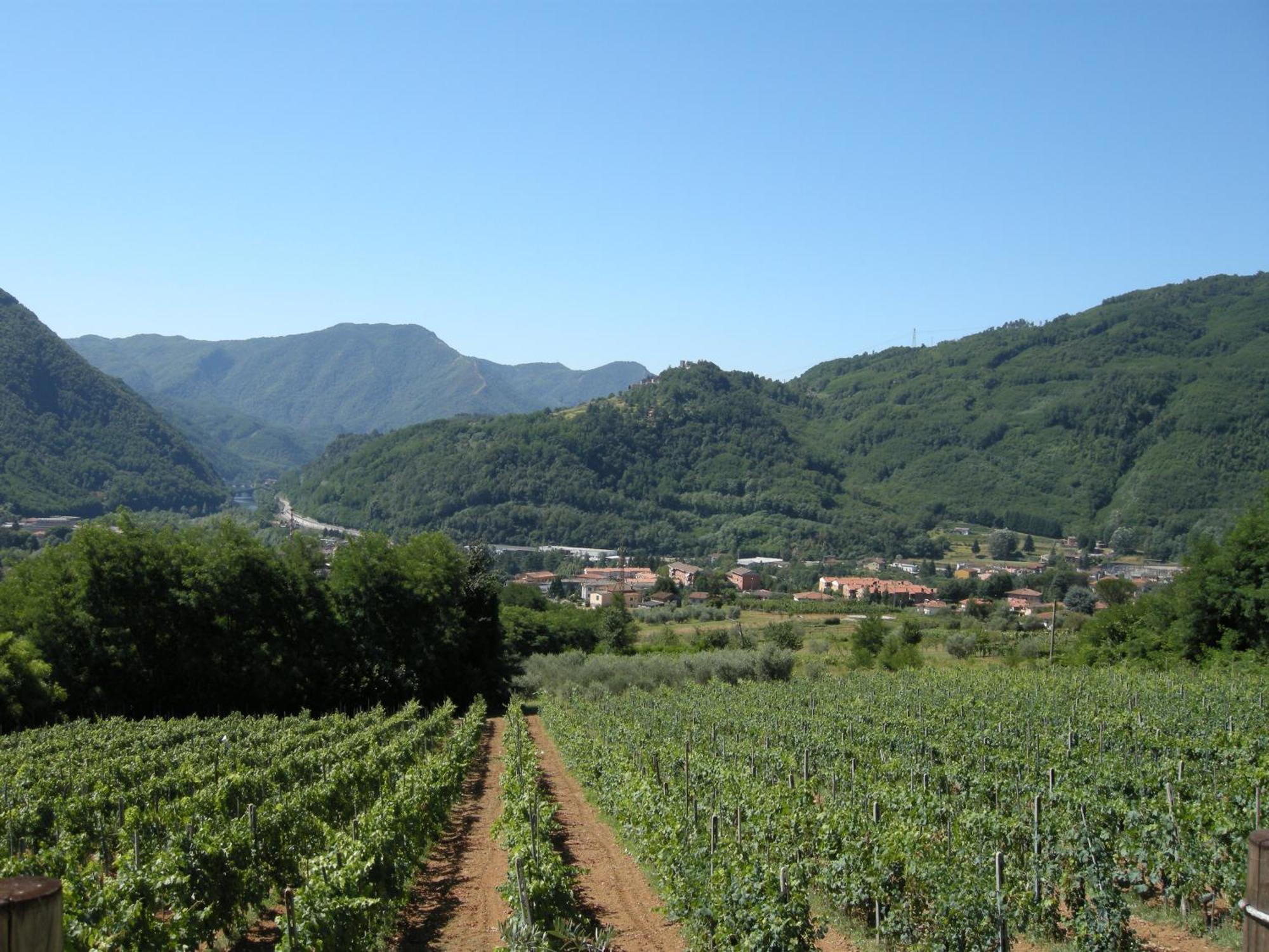 Agriturismo Tenuta La Fratta 반니 디루카 외부 사진