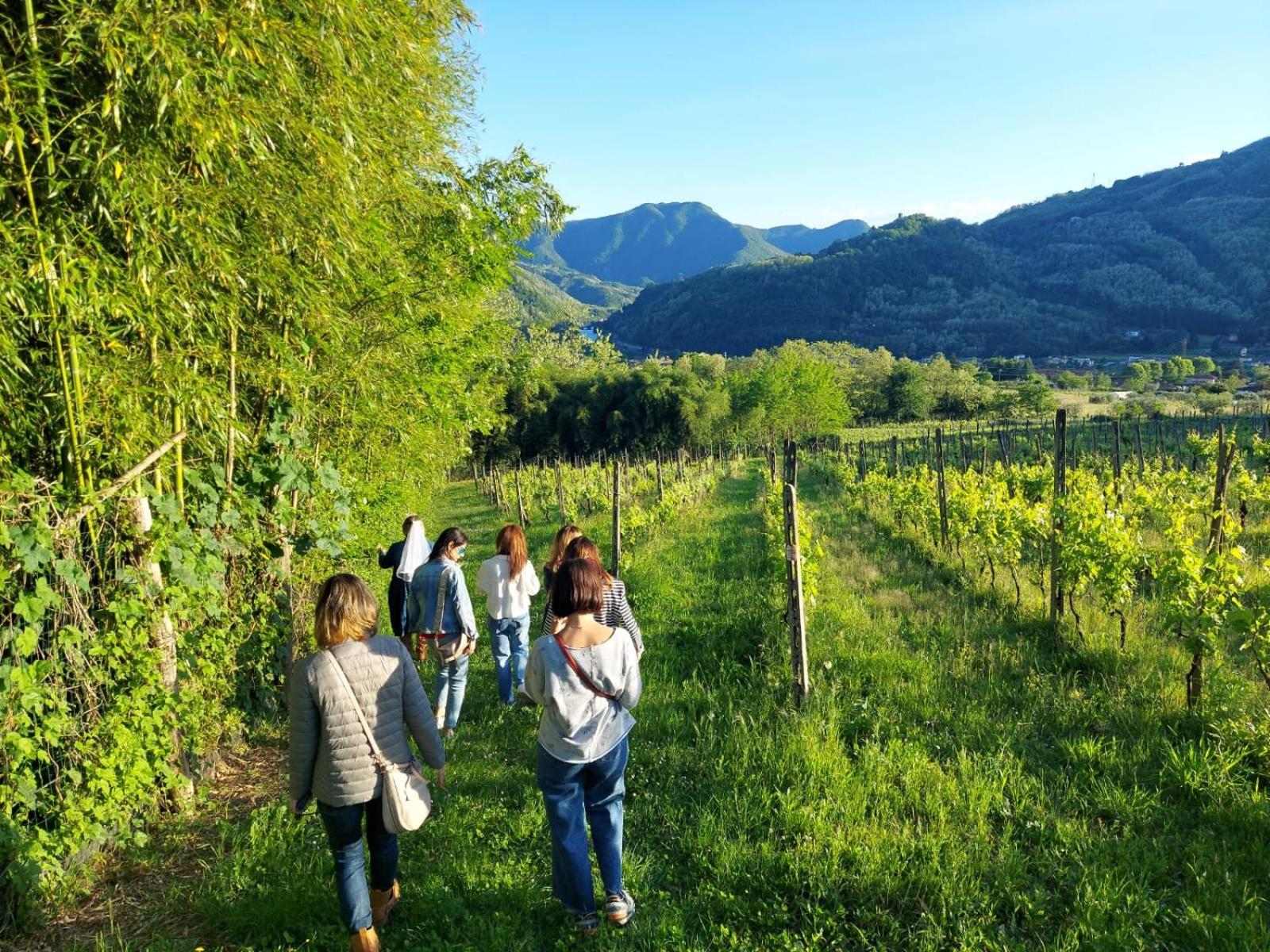 Agriturismo Tenuta La Fratta 반니 디루카 외부 사진