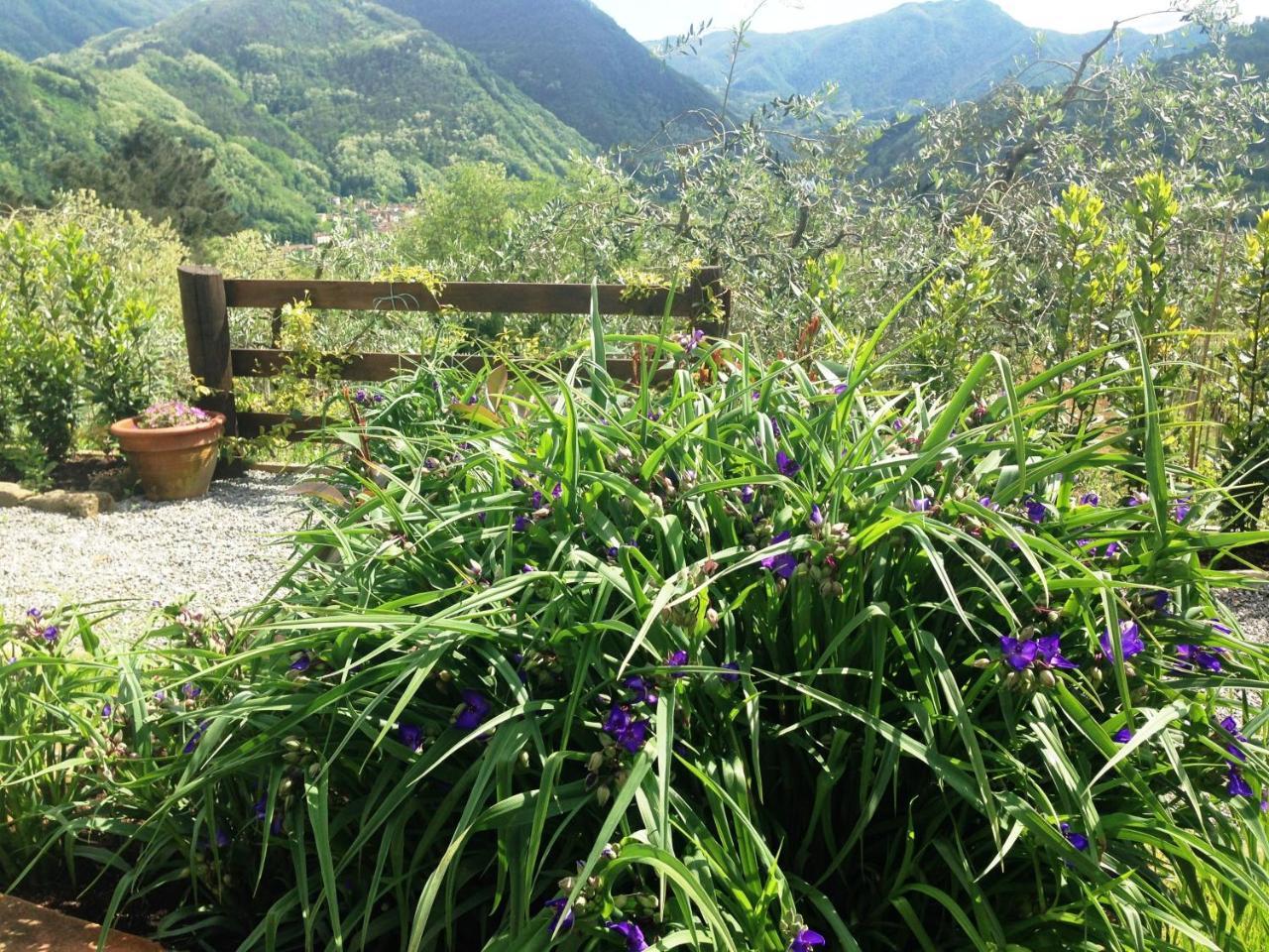 Agriturismo Tenuta La Fratta 반니 디루카 외부 사진