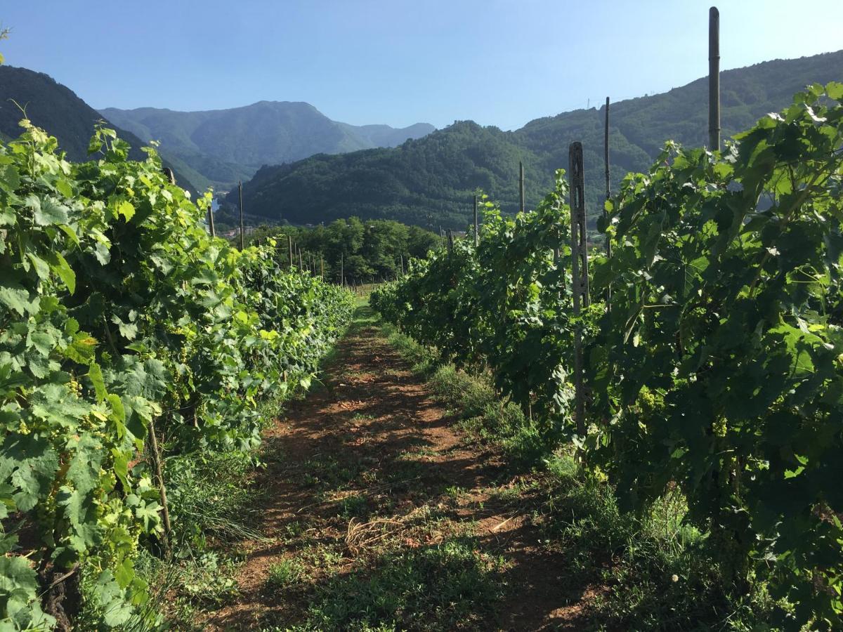 Agriturismo Tenuta La Fratta 반니 디루카 외부 사진